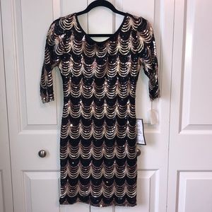 NWT Sequined Body Con Dress✨Never Worn!✨